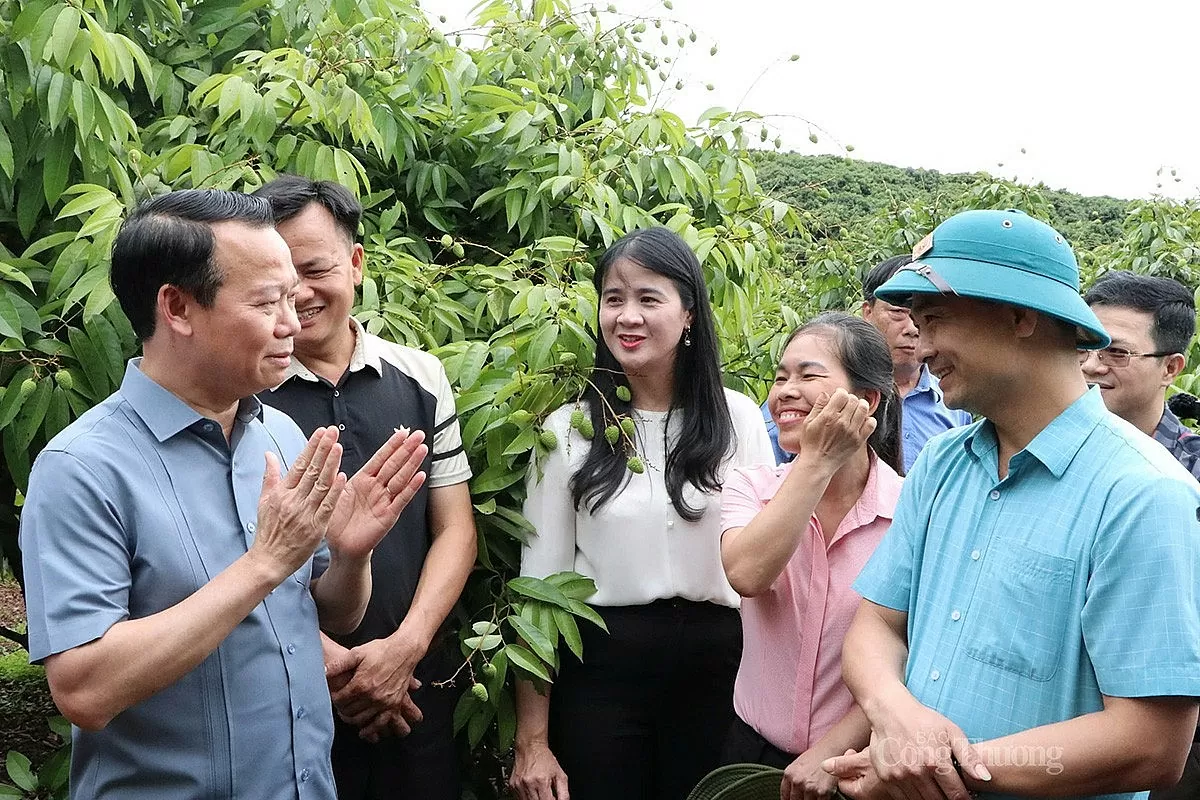 Bộ trưởng Đỗ Đức Duy trò chuyện, đồng thời gợi mở một số giải pháp sản xuất vải thiều hướng đến xuất khẩu tại xã Phúc Hòa, huyện Tân Yên, chiều 11/5. Ảnh: N.H