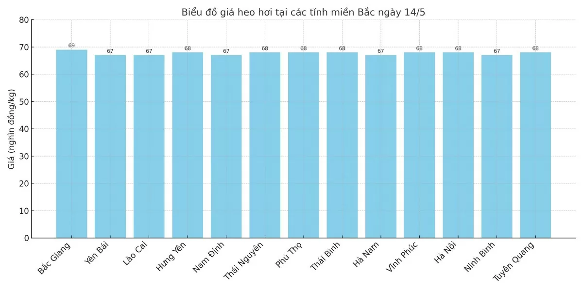 Biểu đồ giá heo hơi tại các tỉnh miền Bắc ngày 14/5.