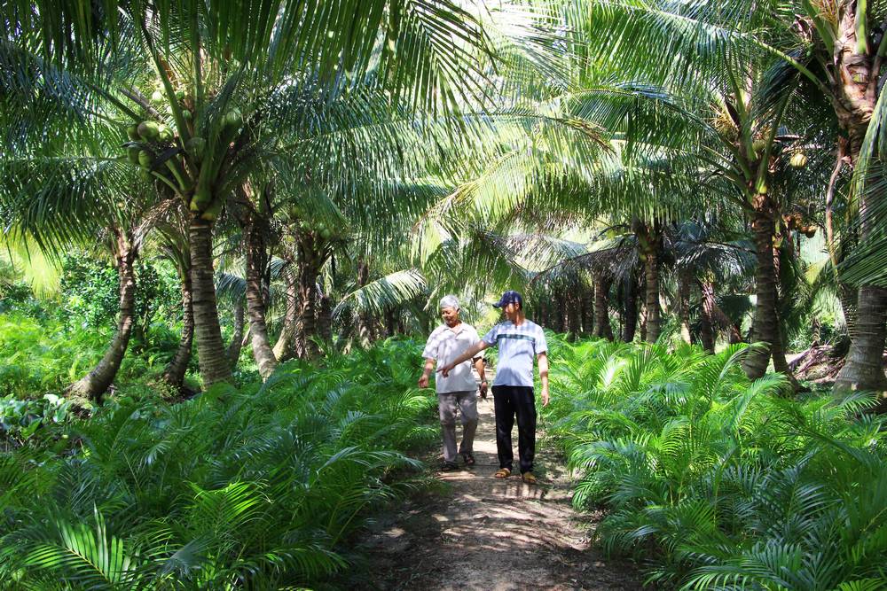 Mô hình xen canh đem lại nhiều lợi ích cho nông dân.