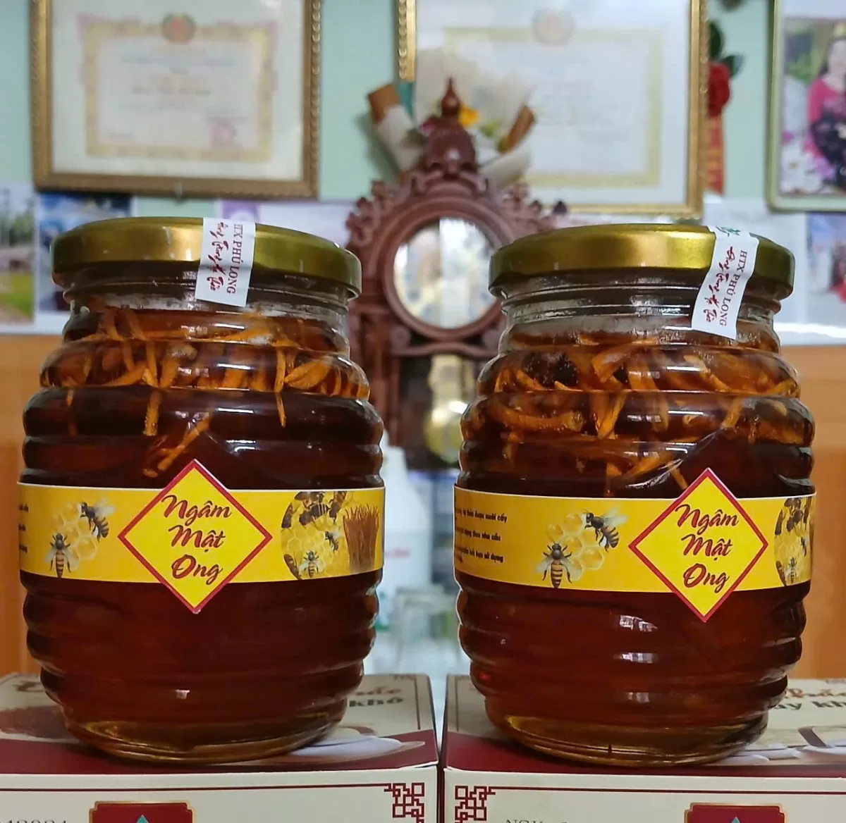 Đi tìm đầu ra cho đông trùng hạ thảo Thái Bình Đi tìm đầu ra cho đông trùng hạ thảo Thái Bình