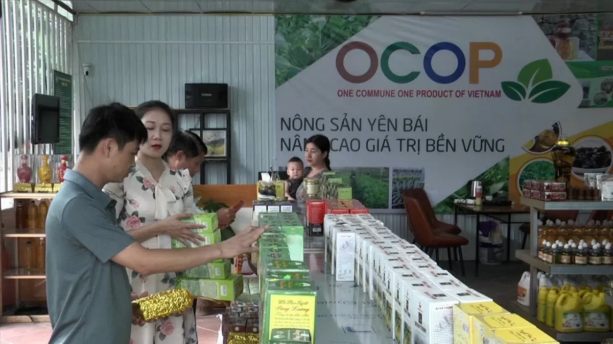 Phát triển sản phẩm OCOP Yên Bái, nâng tầm giá trị nông