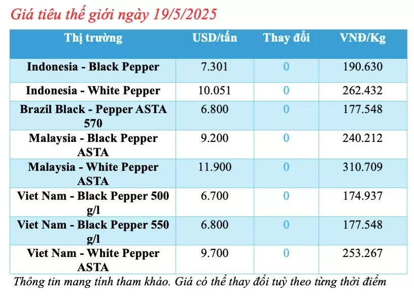 Giá tiêu hôm nay 19/5/2025: thị trường Giá tiêu hôm nay 19/5/2025: thị trường