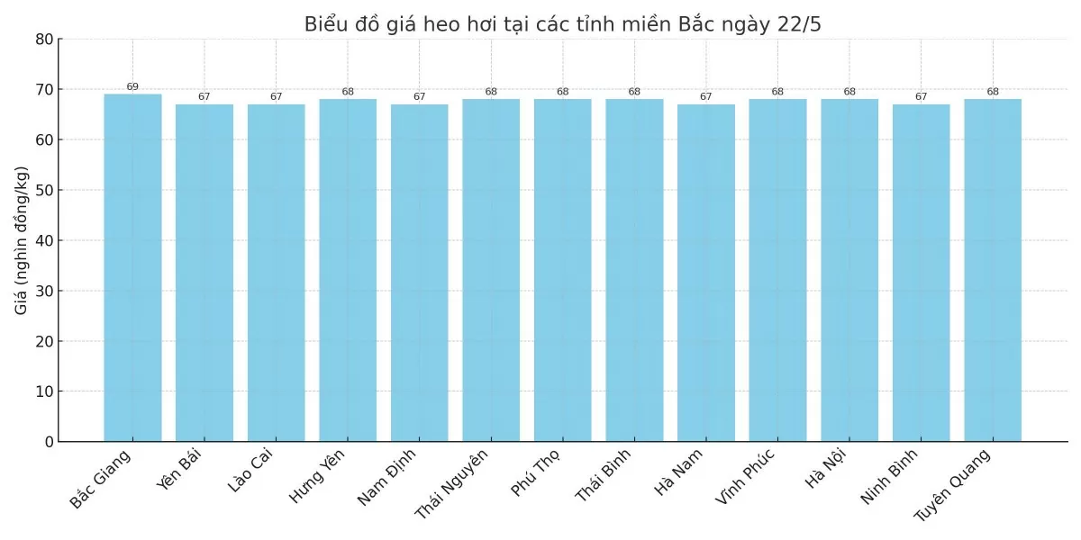 Biểu đồ giá heo hơi tại các tỉnh miền Bắc ngày 22/5.
