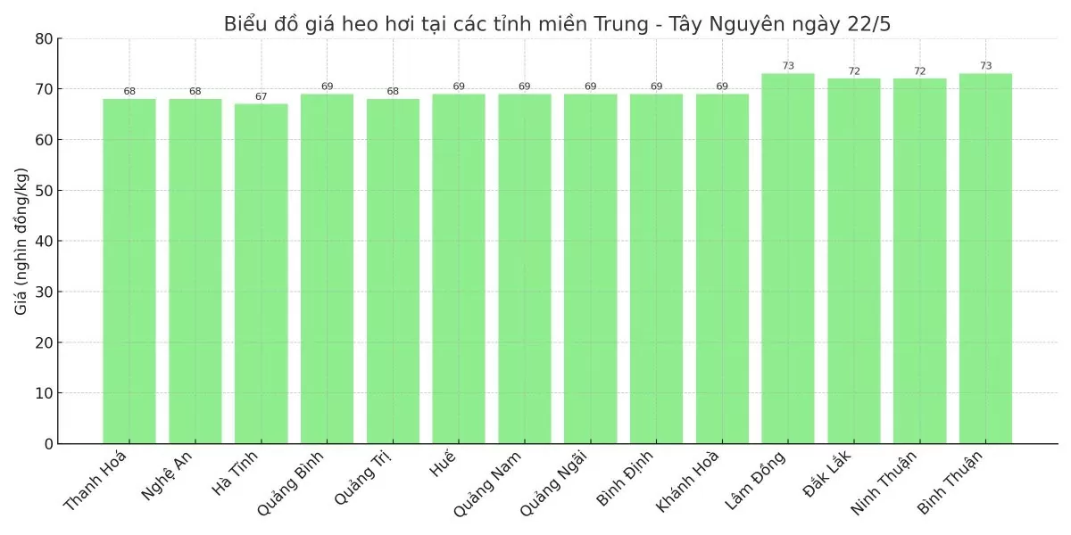 Biểu đồ giá heo hơi tại các tỉnh miền Trung - Tây Nguyên ngày 22/5.