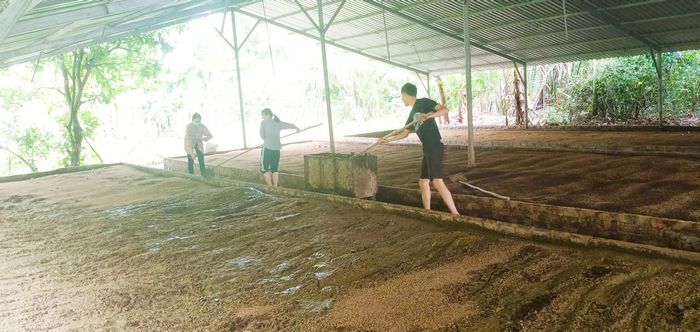 Nông dân dần thay đổi tư duy sản xuất, chuyển từ sản xuất truyền thống sang sản xuất xanh, bền vững, tuần hoàn.