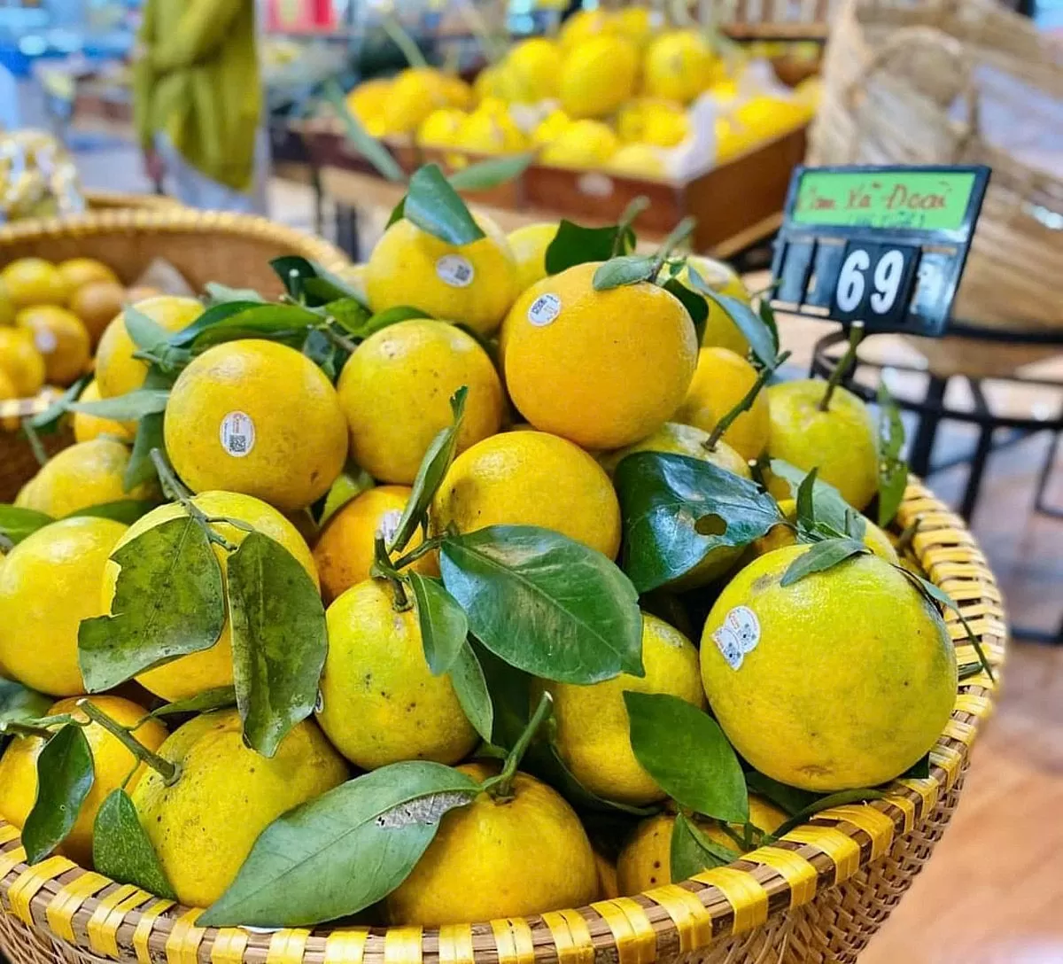 Cam Bảo Phương: Hành trình khởi nghiệp từ những quả cam tinh hoa Cam Bảo Phương: Hành trình khởi nghiệp từ những quả cam tinh hoa