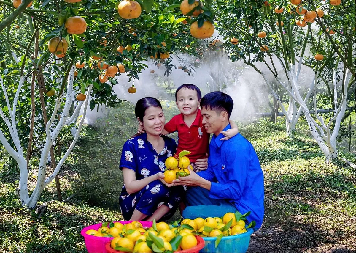 Cam Bảo Phương: Hành trình khởi nghiệp từ những quả cam tinh hoa Cam Bảo Phương: Hành trình khởi nghiệp từ những quả cam tinh hoa