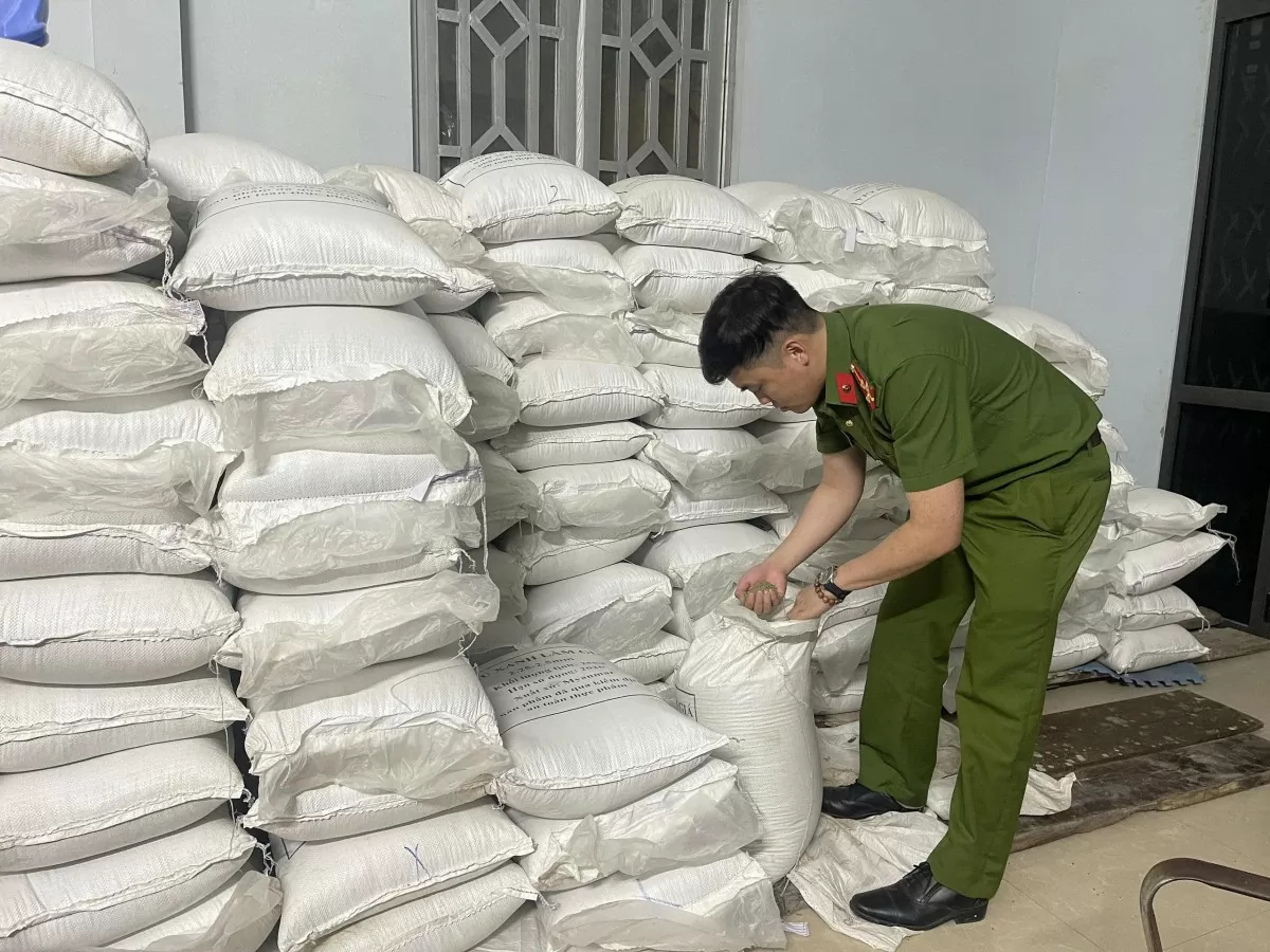 Lào Cai: Triệt phá hai cơ sở bán hơn 300 tấn giá đỗ ngâm hóa chất