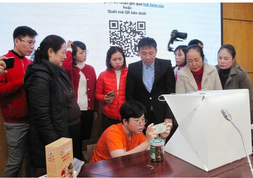 Thái Nguyên: 'Vàng xanh' mở lối thoát nghèo cho bà con dân tộc Thái Nguyên: 'Vàng xanh' mở lối thoát nghèo cho bà con dân tộc