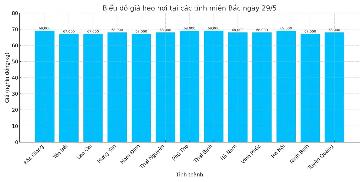Biểu đồ giá heo hơi tại các tỉnh miền Bắc ngày 28/5. Biểu đồ giá heo hơi tại các tỉnh miền Bắc ngày 28/5.
