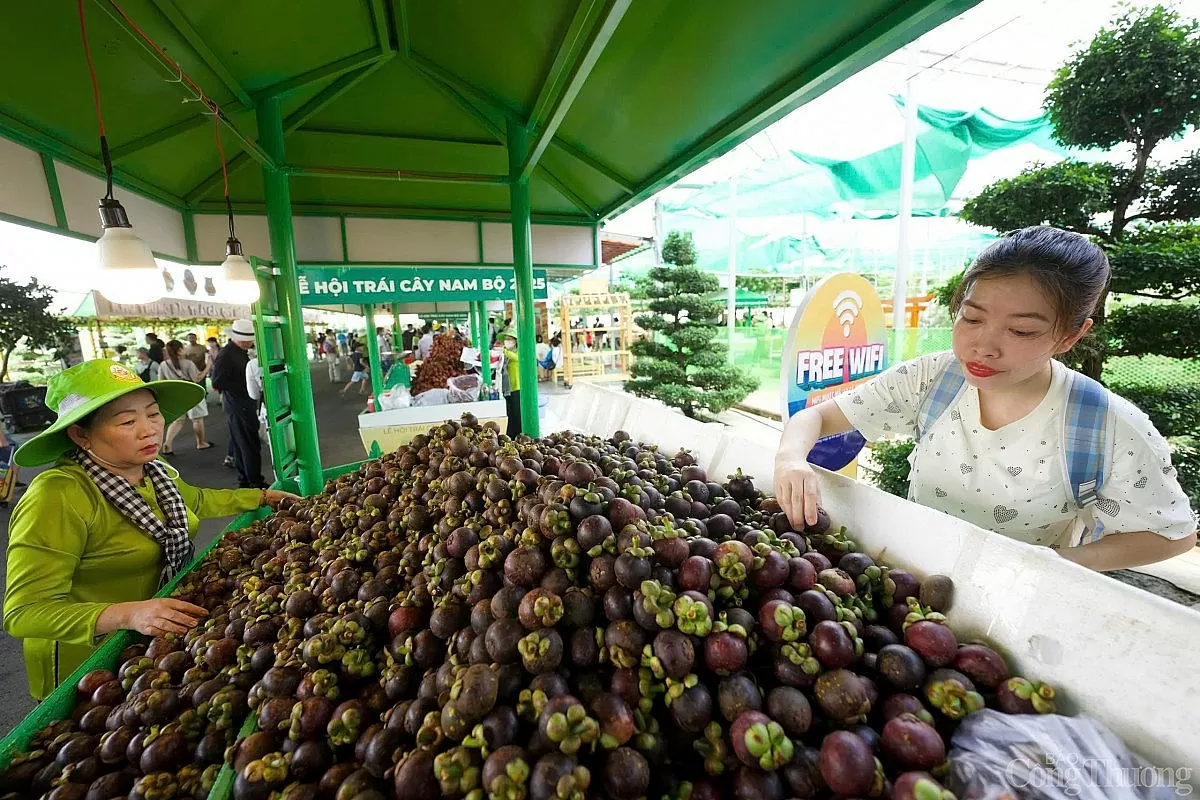“Săn” trái cây giá rẻ tại Lễ hội Trái cây Nam Bộ “Săn” trái cây giá rẻ tại Lễ hội trái cây Nam Bộ