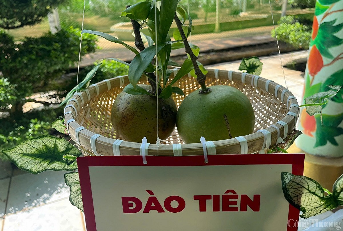 “Săn” trái cây giá rẻ tại Lễ hội Trái cây Nam Bộ