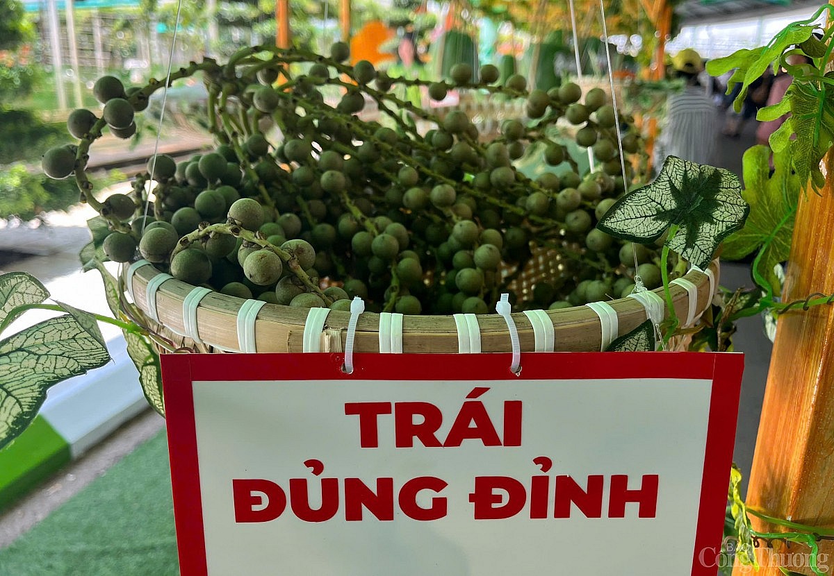 “Săn” trái cây giá rẻ tại Lễ hội Trái cây Nam Bộ