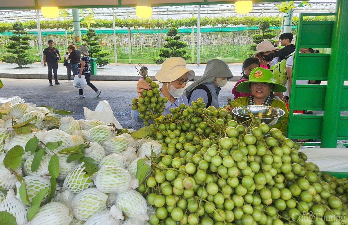 “Săn” trái cây giá rẻ tại Lễ hội Trái cây Nam Bộ