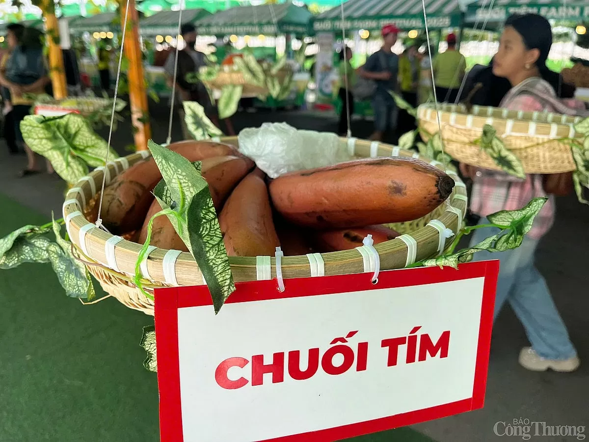 “Săn” trái cây giá rẻ tại Lễ hội Trái cây Nam Bộ “Săn” trái cây giá rẻ tại Lễ hội trái cây Nam Bộ