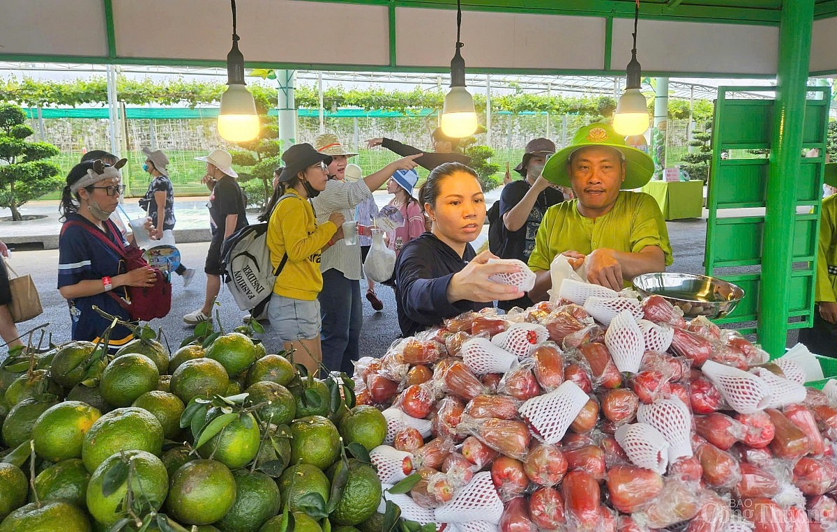 “Săn” trái cây giá rẻ tại Lễ hội Trái cây Nam Bộ