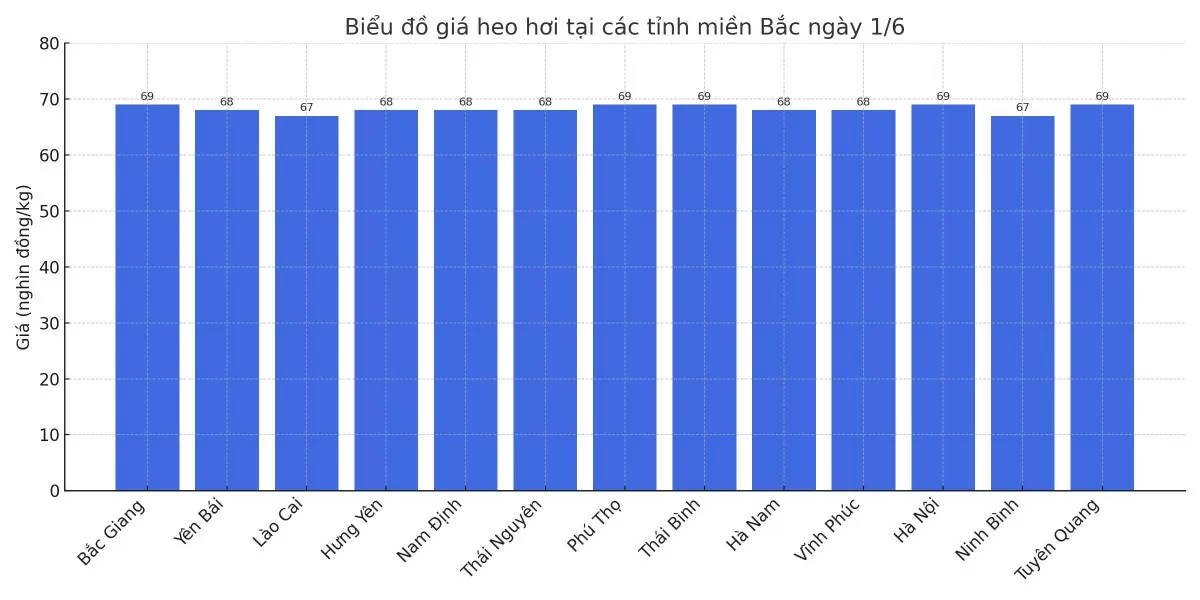 Biểu đồ giá heo hơi tại các tỉnh miền Bắc ngày 1/6. Biểu đồ giá heo hơi tại các tỉnh miền Bắc ngày 1/6.