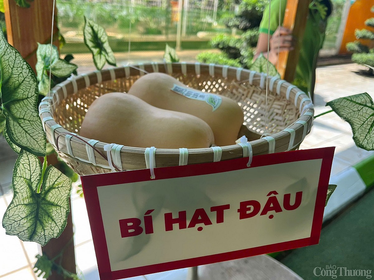 “Săn” trái cây giá rẻ tại Lễ hội Trái cây Nam Bộ