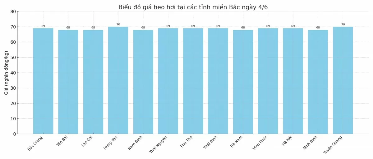 Biểu đồ giá heo hơi tại các tỉnh miền Bắc ngày 4/6.