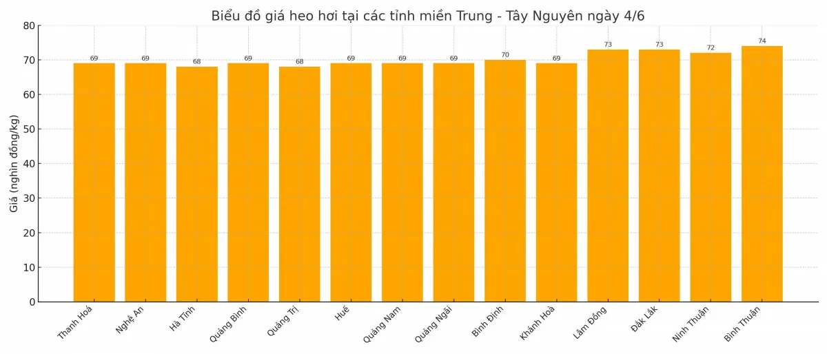 Biểu đồ giá heo hơi tại các tỉnh miền Trung - Tây Nguyên ngày 4/6.