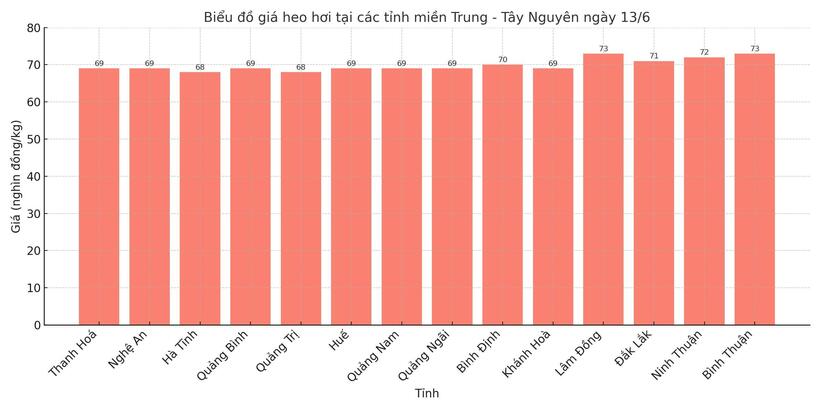 Biểu đồ giá heo hơi tại các tỉnh miền Trung - Tây Nguyên ngày 13/6.