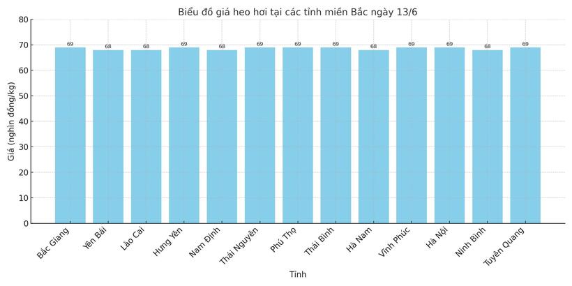 Biểu đồ giá heo hơi tại các tỉnh miền Bắc ngày 13/6.