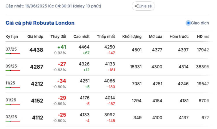 Giá cà phê Robusta London ngày 16/6/2025