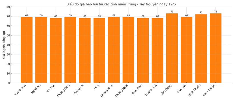 Biểu đồ giá heo hơi tại các tỉnh miền Trung - Tây Nguyên ngày 19/6.
