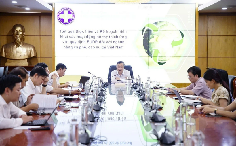 Thứ trưởng Bộ Nông nghiệp và Môi trường Hoàng Trung chủ trì cuộc họp