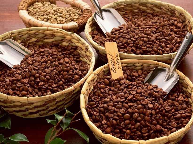 Yếu tố cốt lõi để vận hành EUDR chính là dữ liệu đầy đủ và khả năng chia sẻ thông tin theo yêu cầu EU