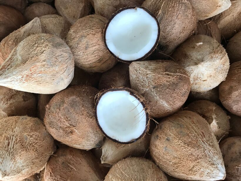 Giá dừa nguyên liệu tăng cao khiến hàng loạt nhà máy chế biến các sản phẩm từ dừa phục vụ xuất khẩu khó khăn. Ảnh minh họa