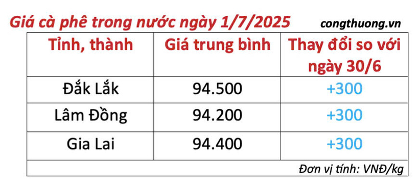 Bảng giá cà phê trong nước cập nhật sáng ngày 1/7/2025