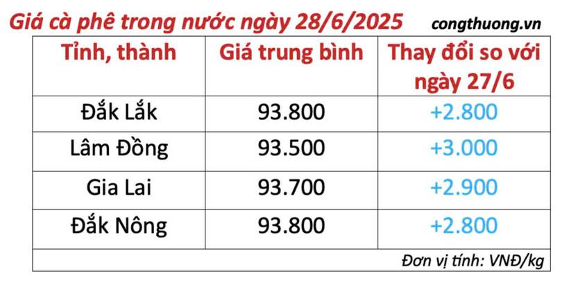 Bảng giá cà phê trong nước cập nhật sáng ngày 28/6/2025