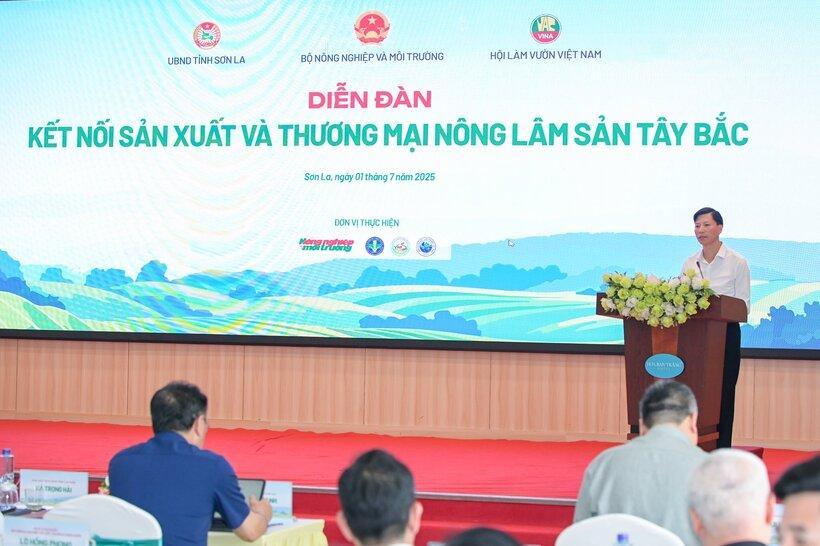 Ông Bùi Huy Phương - Giám đốc Sở Nông nghiệp và Môi trường Lai Châu - đề nghị sớm gỡ bất cập mã số cơ sở trồng sâm. Ảnh: Tùng Đinh