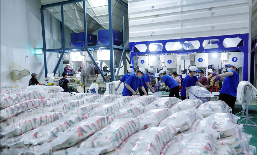 Gạo cũng là mặt hàng tiềm năng để đẩy mạnh xuất khẩu sang Nhật Bản. Ảnh: Hùng Anh
