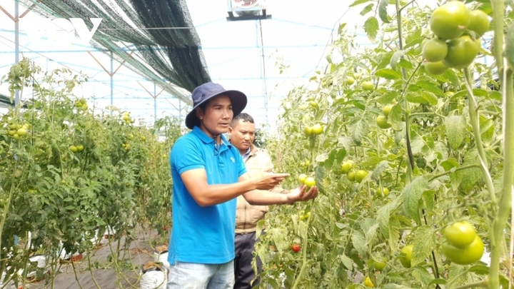 Nhiều chuỗi liên kết giữa sản xuất và tiêu thụ được xây dựng thành công