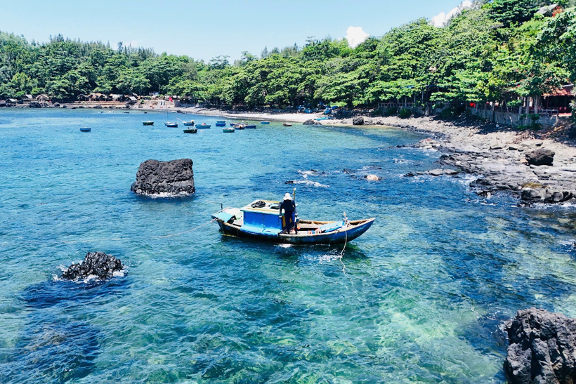 Nhum biển còn được gọi là cầu gai hay nhím biển, nhum được mệnh danh là “nhân sâm của biển cả” bởi giá trị dinh dưỡng cao và hương vị độc đáo. Ảnh: Quảng Phú