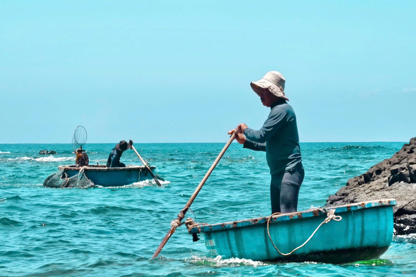 Để săn được nhum, ngư dân phải lặn sâu từ 10m đến 20m, men theo những vách đá ngầm, nơi nhum bám chặt vào các khe đá sắc nhọn và chịu áp suất lớn. Ảnh: Quảng Phú