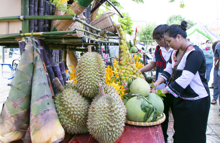 Sầu riêng Khánh Sơn mang lại giá trị cao cho bà con miền núi (Ảnh: Hội Nông dân Khánh Hoà)