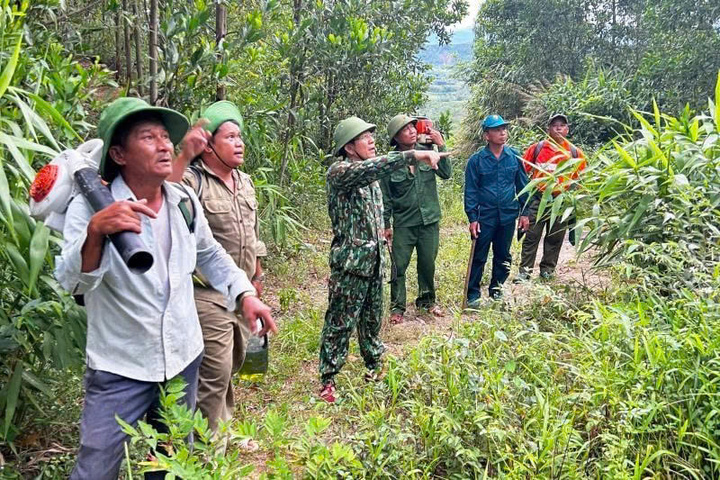 Ông Trần Nam Hưng, Phó Chủ tịch UBND TP. Đà Nẵng (ở giữa) có mặt tại hiện trường từ sớm để chỉ đạo khống chế đám cháy rừng. Ảnh: UBND xã Duy Xuyên