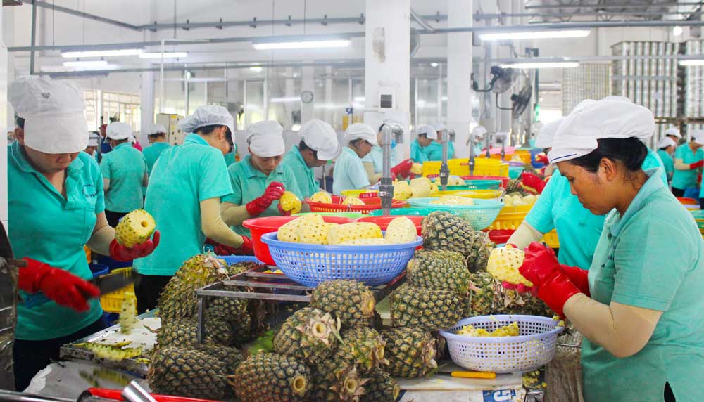 Ngành nông nghiệp nỗ lực tìm giải pháp nâng tầm giá trị nông sản Việt Nam.