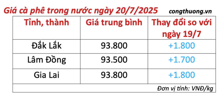 Bảng giá cà phê trong nước sáng ngày 20/7/2025