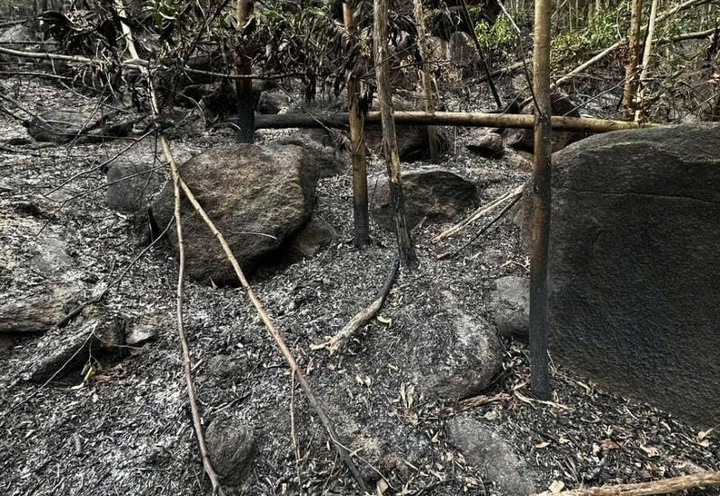 Nguyên nhân ban đầu được cho là do người dân đốt thực bì khiến đám cháy lan rộng. Ảnh: UBND xã Duy Xuyên