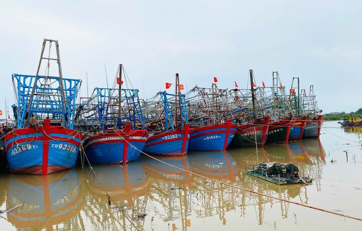 Tàu thuyền được hướng dân, neu đậu nơi an toàn. Ảnh: Thái Thanh