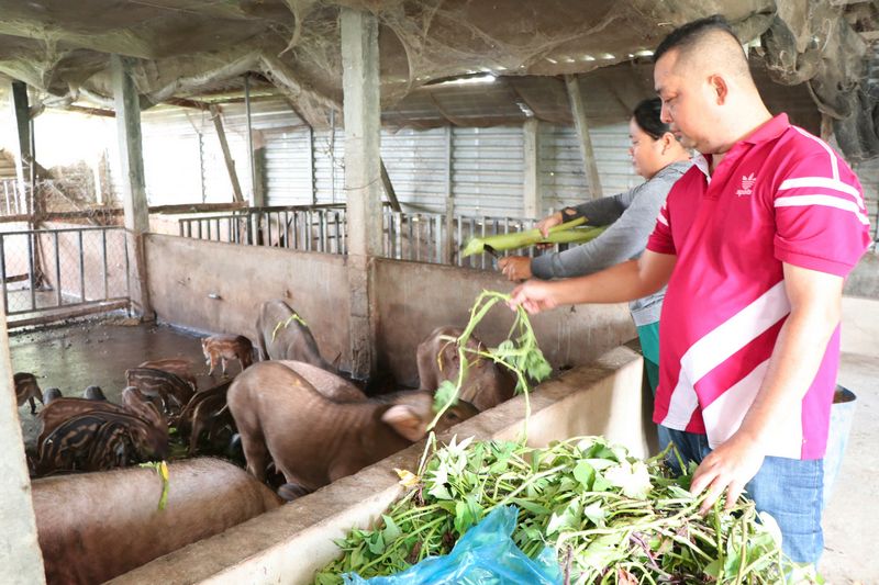 Người chăn nuôi cần chủ động thực hiện các biện pháp phòng chống dịch bệnh.