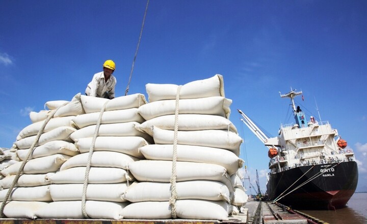 6 tháng đầu năm 2025, giá trị nhập khẩu các sản phẩm gạo nói chung (1006) từ Việt Nam của Singapore đạt 60,9 triệu SGD. Ảnh minh họa