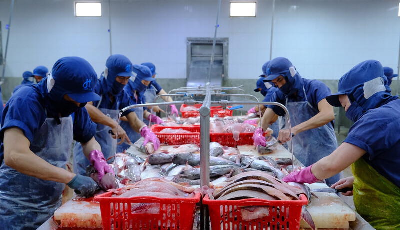 Cần xây dựng 2 liên minh lớn giữa các nhà xuất khẩu về trái cây và thủy sản để xây dựng chuỗi cung ứng và kênh phân phối ổn định ở thị trường EU theo kênh siêu thị thực phẩm tại EU. Ảnh: Minh Lê