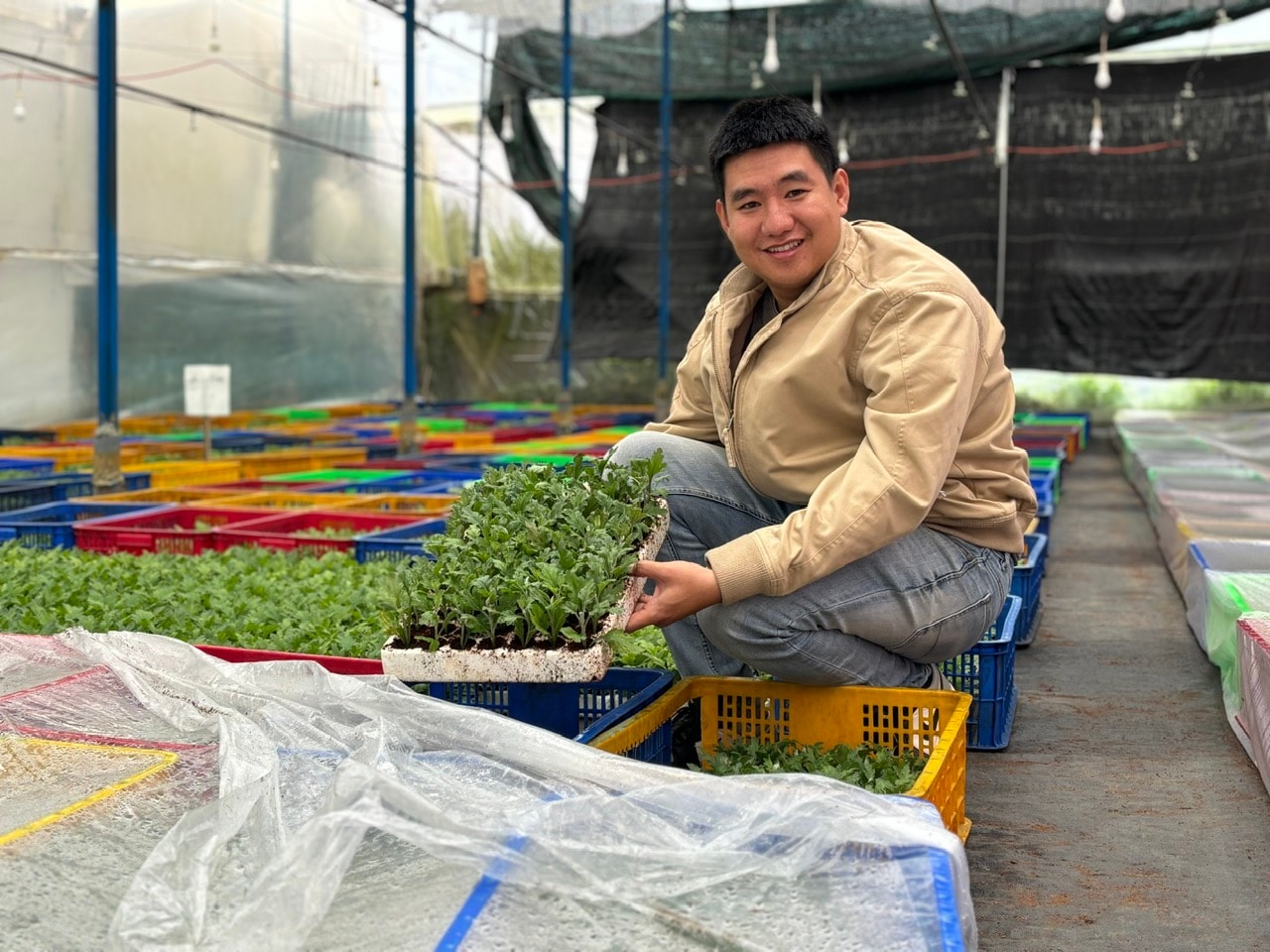 Anh Nguyễn Hoài Phi trong khu vực ươm cúc giống