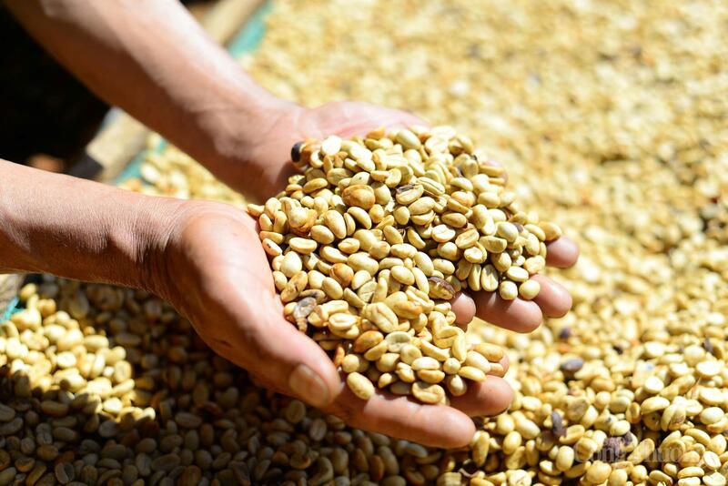 Những hạt cà phê rang thơm lừng, đẹp mắt