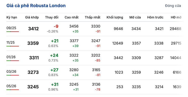 Giá cà phê Robusta London sáng ngày 6/8/2025